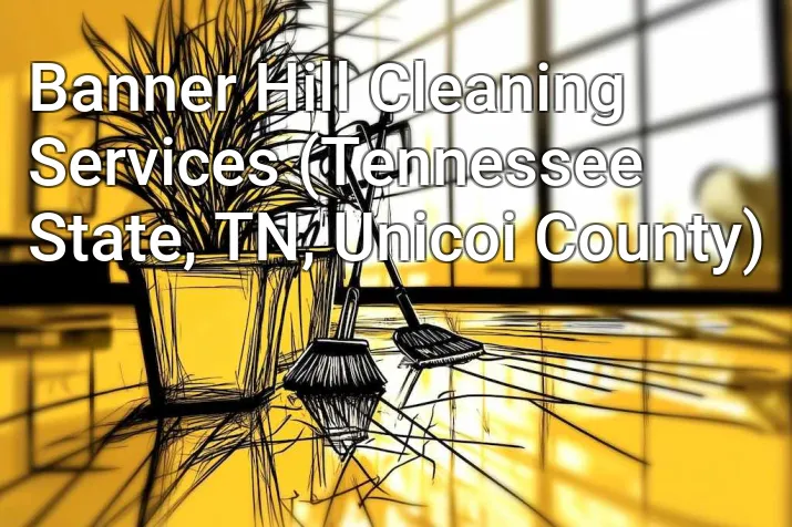 Banner Hill Cleaning Services (Tennessee State, TN, Unicoi County)