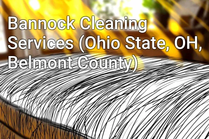 Bannock Cleaning Services (Ohio State, OH, Belmont County)