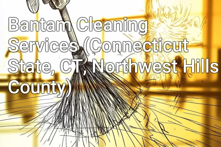 Bantam Cleaning Services (Connecticut State, CT, Northwest Hills County)
