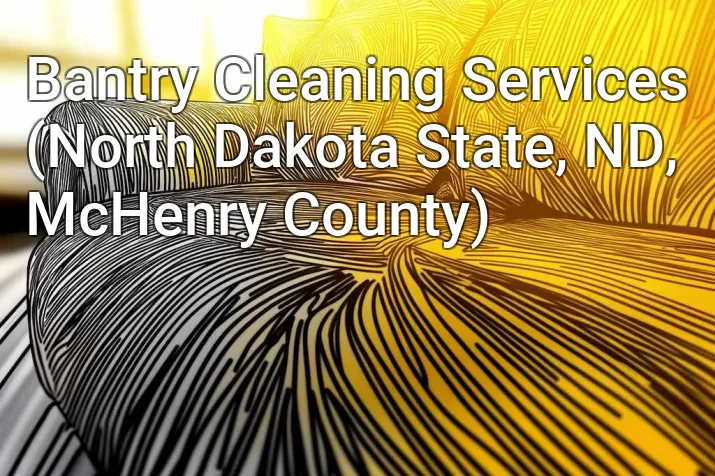 Bantry Cleaning Services (North Dakota State, ND, McHenry County)