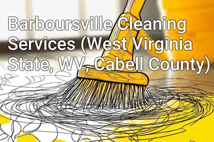 Barboursville Cleaning Services (West Virginia State, WV, Cabell County)