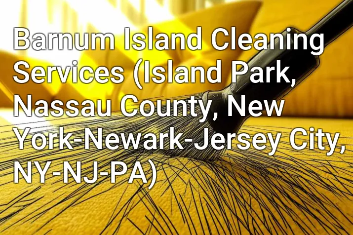 Barnum Island Cleaning Services (Island Park, Nassau County, New York-Newark-Jersey City, NY-NJ-PA)