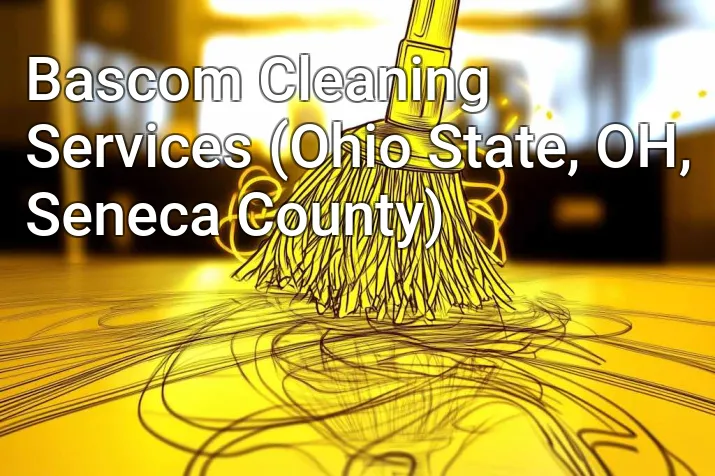 Bascom Cleaning Services (Ohio State, OH, Seneca County)