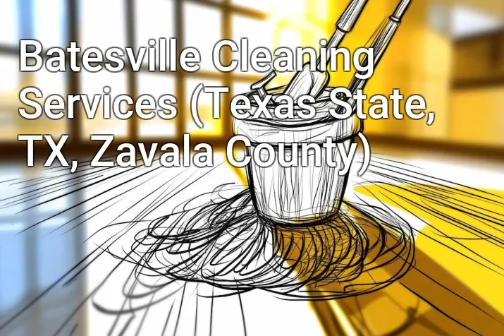 Batesville Cleaning Services (Texas State, TX, Zavala County)