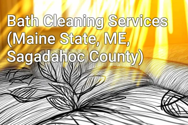 Bath Cleaning Services (Maine State, ME, Sagadahoc County)