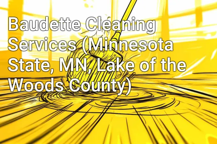 Baudette Cleaning Services (Minnesota State, MN, Lake of the Woods County)