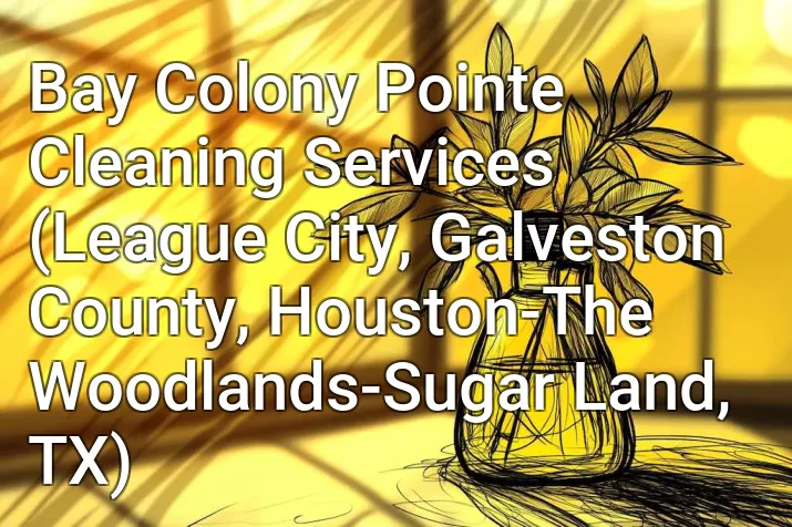 Bay Colony Pointe Cleaning Services (League City, Galveston County, Houston-The Woodlands-Sugar Land, TX)