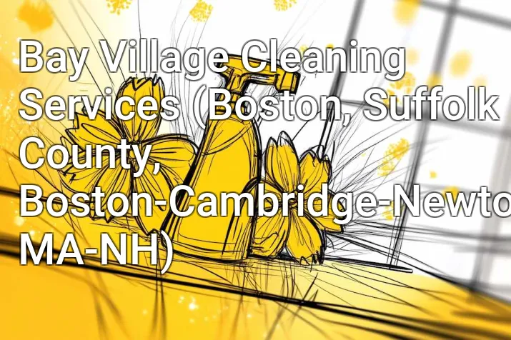 Bay Village Cleaning Services (Boston, Suffolk County, Boston-Cambridge-Newton, MA-NH)