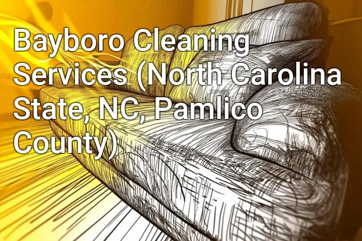Bayboro Cleaning Services (North Carolina State, NC, Pamlico County)