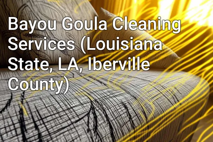 Bayou Goula Cleaning Services (Louisiana State, LA, Iberville County)