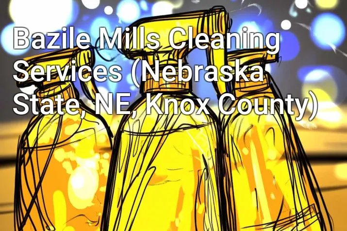 Bazile Mills Cleaning Services (Nebraska State, NE, Knox County)