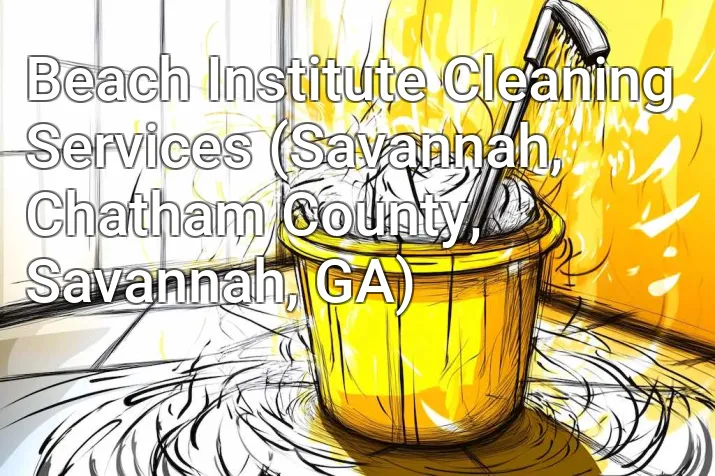 Beach Institute Cleaning Services (Savannah, Chatham County, Savannah, GA)