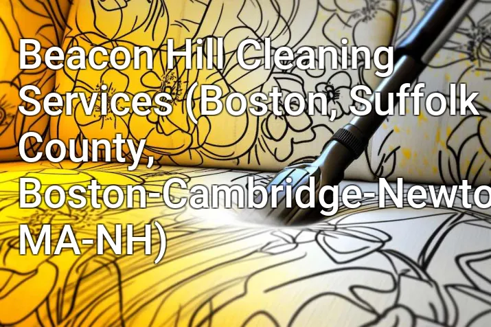 Beacon Hill Cleaning Services (Boston, Suffolk County, Boston-Cambridge-Newton, MA-NH)