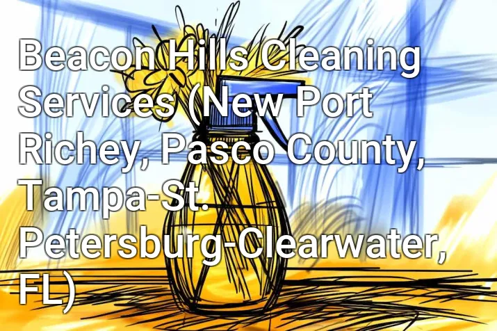 Beacon Hills Cleaning Services (New Port Richey, Pasco County, Tampa-St. Petersburg-Clearwater, FL)