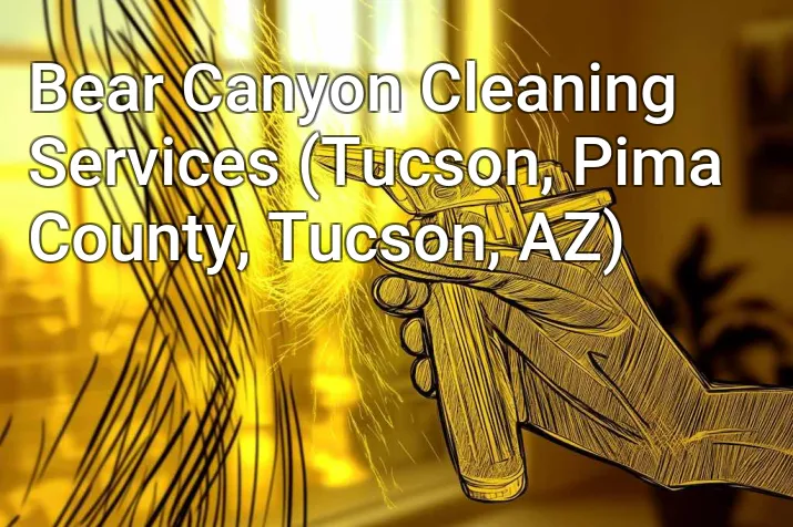 Bear Canyon Cleaning Services (Tucson, Pima County, Tucson, AZ)