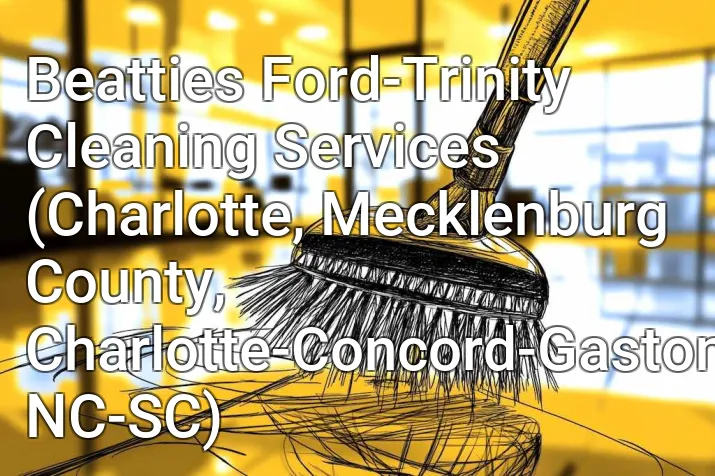 Beatties Ford-Trinity Cleaning Services (Charlotte, Mecklenburg County, Charlotte-Concord-Gastonia, NC-SC)