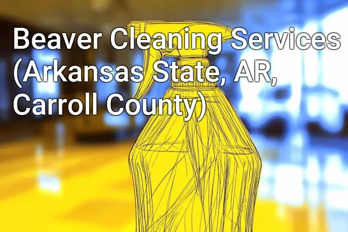 Beaver Cleaning Services (Arkansas State, AR, Carroll County)