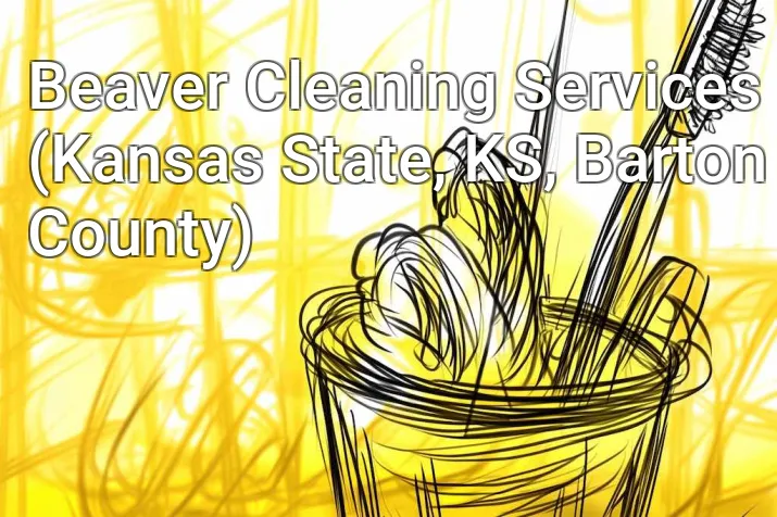 Beaver Cleaning Services (Kansas State, KS, Barton County)