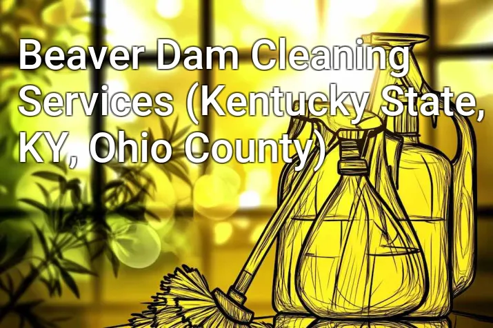 Beaver Dam Cleaning Services (Kentucky State, KY, Ohio County)