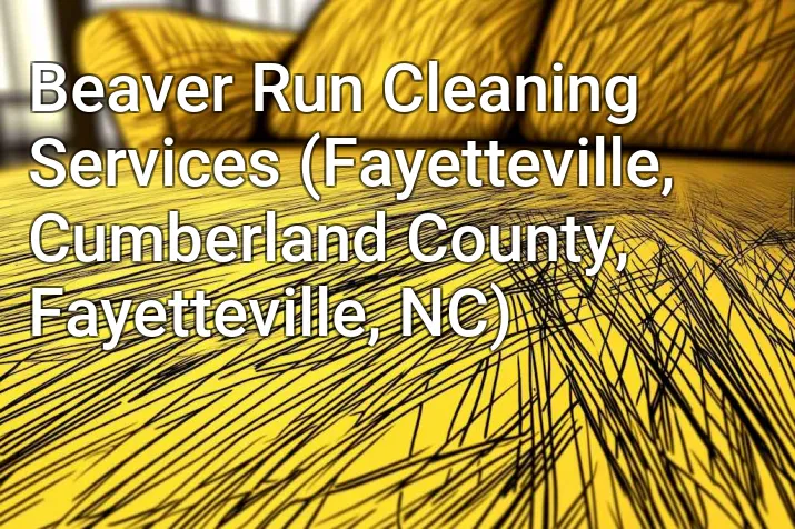 Beaver Run Cleaning Services (Fayetteville, Cumberland County, Fayetteville, NC)