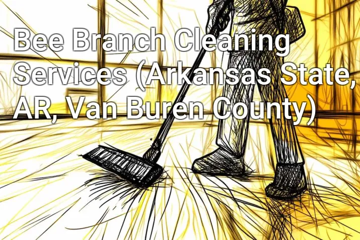 Bee Branch Cleaning Services (Arkansas State, AR, Van Buren County)