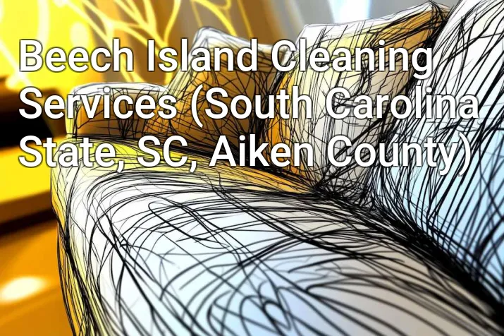 Beech Island Cleaning Services (South Carolina State, SC, Aiken County)