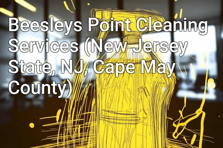 Beesleys Point Cleaning Services (New Jersey State, NJ, Cape May County)