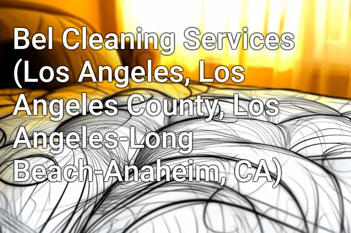 Bel Cleaning Services (Los Angeles, Los Angeles County, Los Angeles-Long Beach-Anaheim, CA)