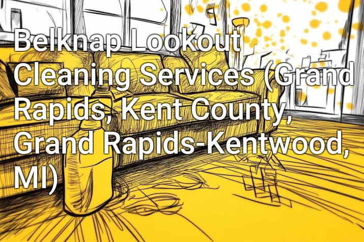 Belknap Lookout Cleaning Services (Grand Rapids, Kent County, Grand Rapids-Kentwood, MI)