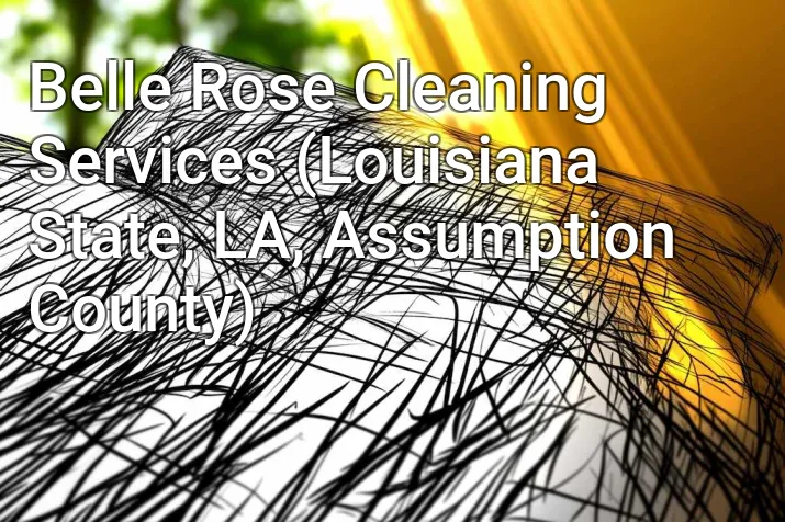Belle Rose Cleaning Services (Louisiana State, LA, Assumption County)
