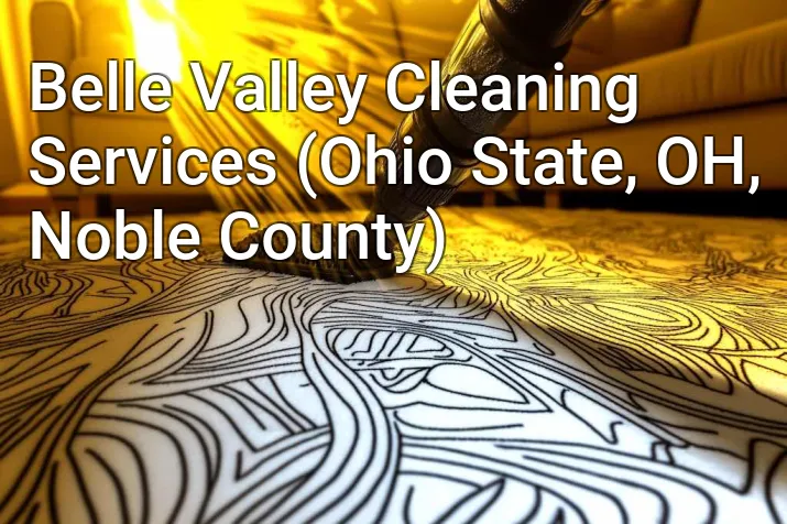 Belle Valley Cleaning Services (Ohio State, OH, Noble County)