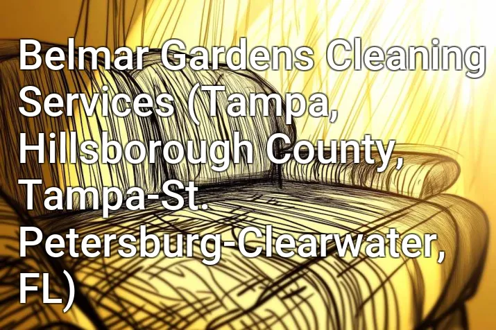 Belmar Gardens Cleaning Services (Tampa, Hillsborough County, Tampa-St. Petersburg-Clearwater, FL)