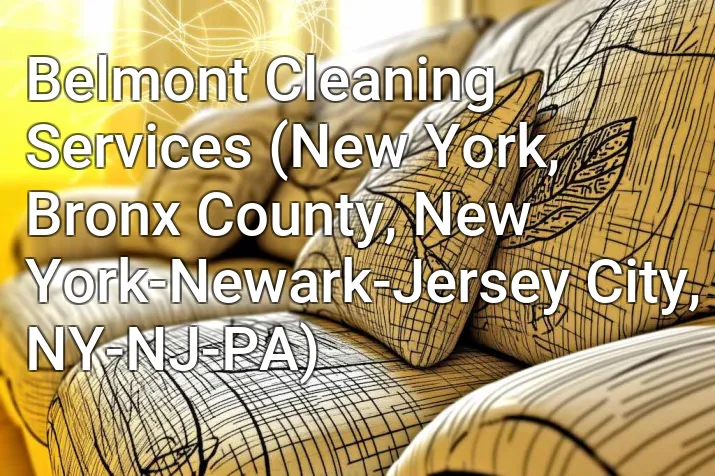Belmont Cleaning Services (New York, Bronx County, New York-Newark-Jersey City, NY-NJ-PA)