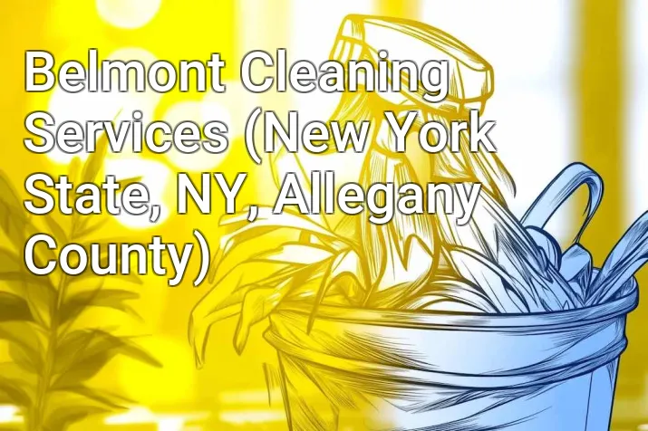 Belmont Cleaning Services (New York State, NY, Allegany County)