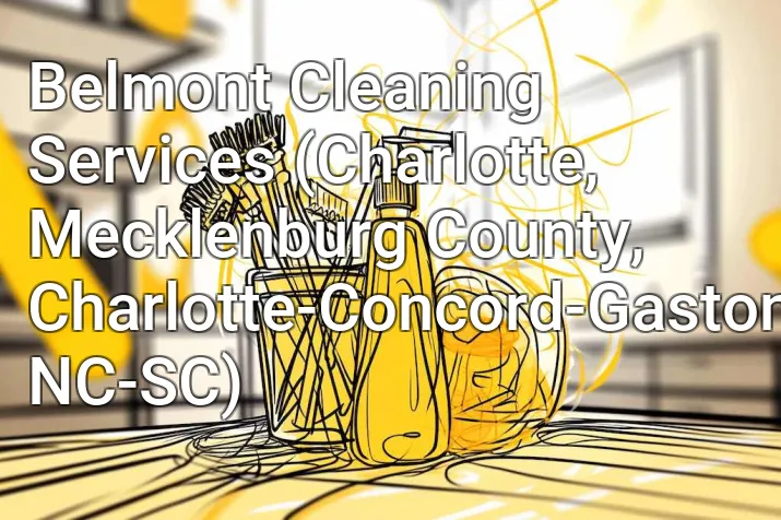 Belmont Cleaning Services (Charlotte, Mecklenburg County, Charlotte-Concord-Gastonia, NC-SC)