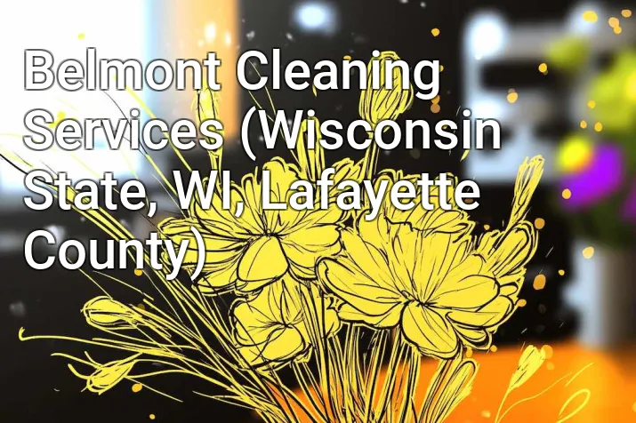 Belmont Cleaning Services (Wisconsin State, WI, Lafayette County)