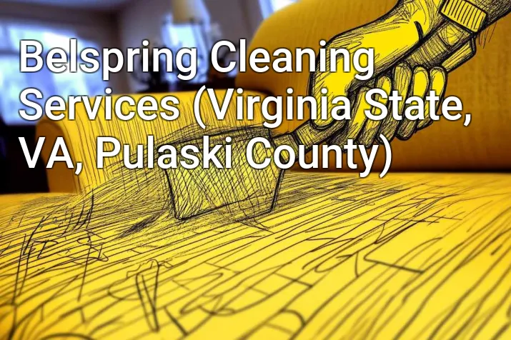 Belspring Cleaning Services (Virginia State, VA, Pulaski County)