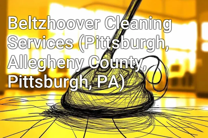 Beltzhoover Cleaning Services (Pittsburgh, Allegheny County, Pittsburgh, PA)
