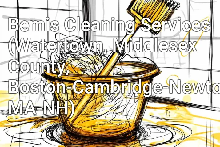Bemis Cleaning Services (Watertown, Middlesex County, Boston-Cambridge-Newton, MA-NH)