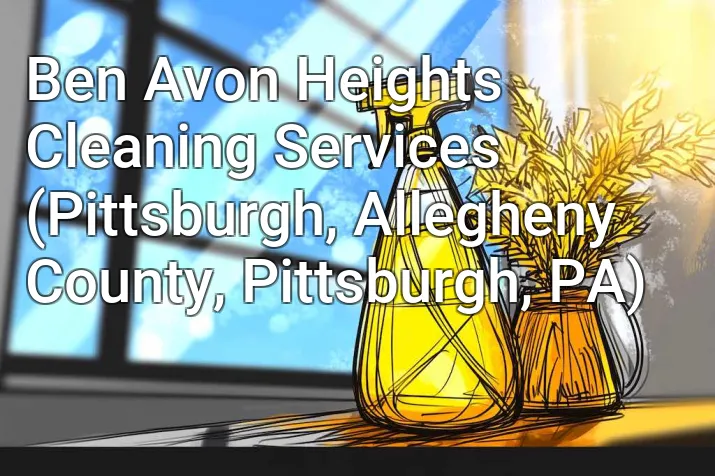 Ben Avon Heights Cleaning Services (Pittsburgh, Allegheny County, Pittsburgh, PA)