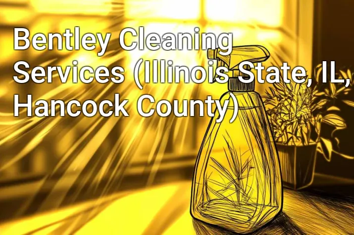 Bentley Cleaning Services (Illinois State, IL, Hancock County)