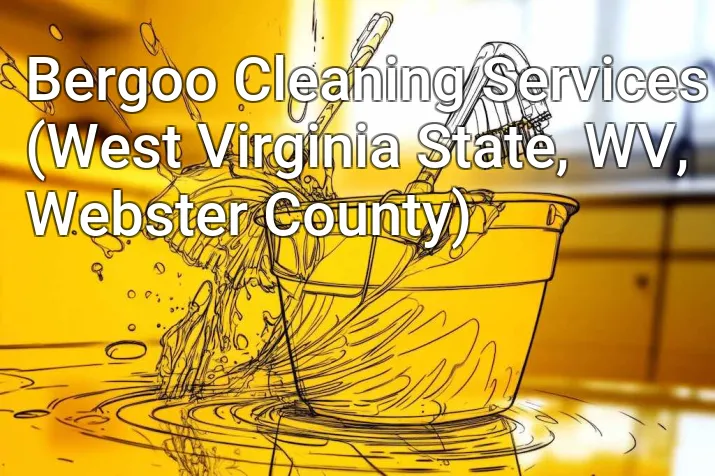 Bergoo Cleaning Services (West Virginia State, WV, Webster County)