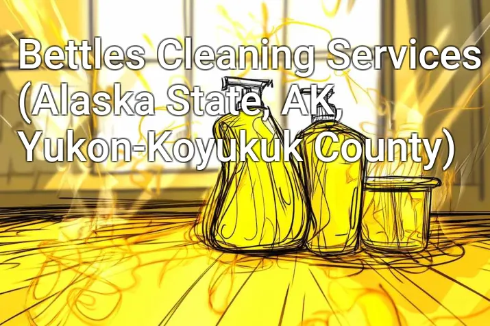 Bettles Cleaning Services (Alaska State, AK, Yukon-Koyukuk County)