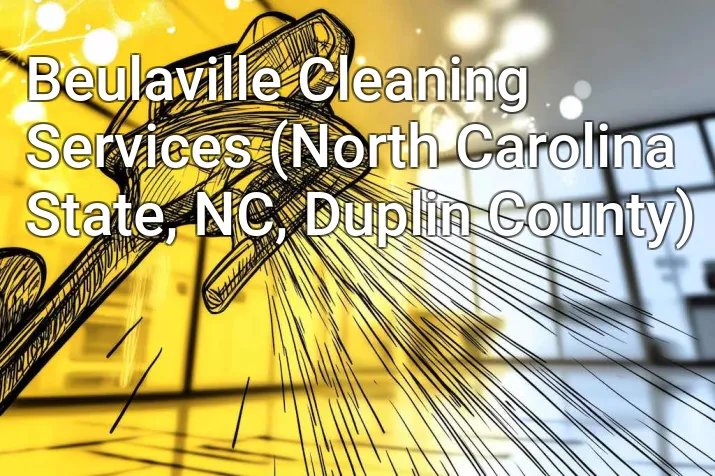 Beulaville Cleaning Services (North Carolina State, NC, Duplin County)