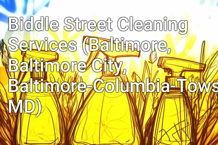 Biddle Street Cleaning Services (Baltimore, Baltimore City, Baltimore-Columbia-Towson, MD)