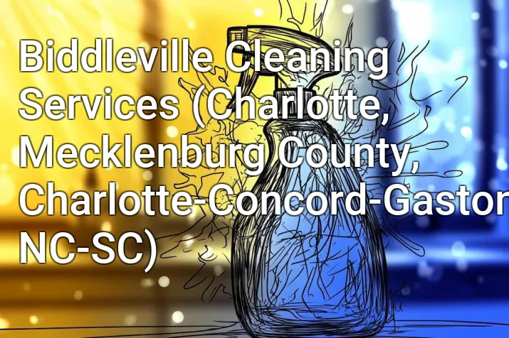 Biddleville Cleaning Services (Charlotte, Mecklenburg County, Charlotte-Concord-Gastonia, NC-SC)