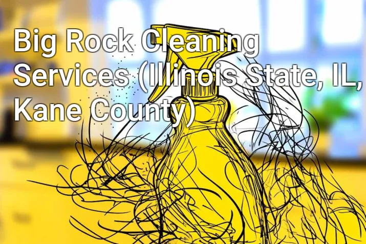 Big Rock Cleaning Services (Illinois State, IL, Kane County)