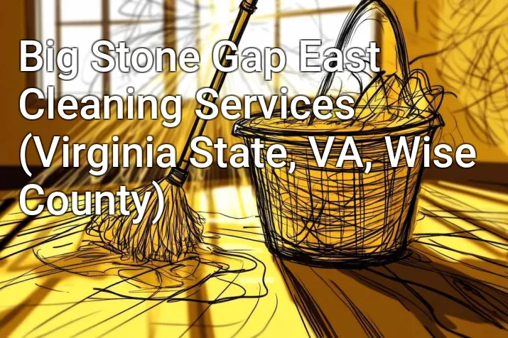 Big Stone Gap East Cleaning Services (Virginia State, VA, Wise County)
