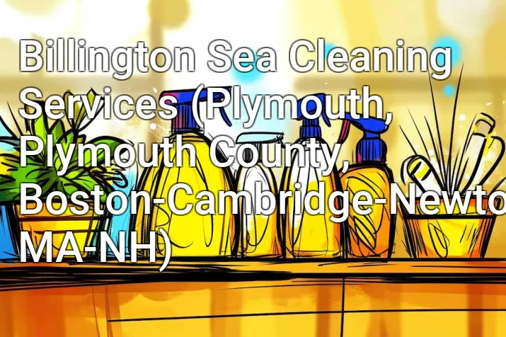 Billington Sea Cleaning Services (Plymouth, Plymouth County, Boston-Cambridge-Newton, MA-NH)