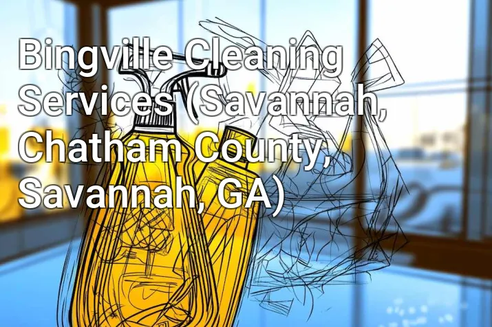 Bingville Cleaning Services (Savannah, Chatham County, Savannah, GA)